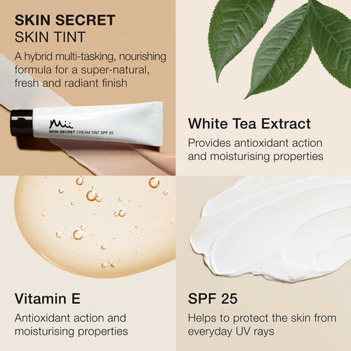 Skin Secret Cream Tint SPF 25
